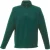 Regatta Heren 170 Series Anti-pill Zip Neck Micro Fleece (Fles groen)