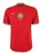 PUMA Tricot ‘FRMF Home’  goudgeel / lichtgroen / rood / wit