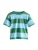 Next Shirt  hemelsblauw / groen / donkeroranje