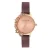 Olivia Burton Dameshorloge Kwarts Zilver