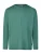 PIERRE CARDIN Shirt  groen