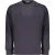 Coveri Moving Blauw Katoenen Heren Sweatshirt