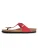 Bayton Muiltjes ‘MERCURE’  rood