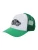 VANS Pet ‘CLASSIC’  groen / wit
