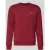 Pepe Jeans Regular fit sweatshirt van katoenmix, model ‘GRIFFIN’