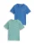 TOM TAILOR Shirt  enziaan / riet
